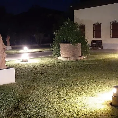 Armonie 科蒂尼奥拉