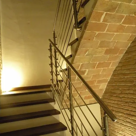 Armonie Котиньола